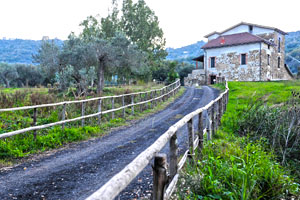 Antica Conca Di Oro Antica Conca Di Oro